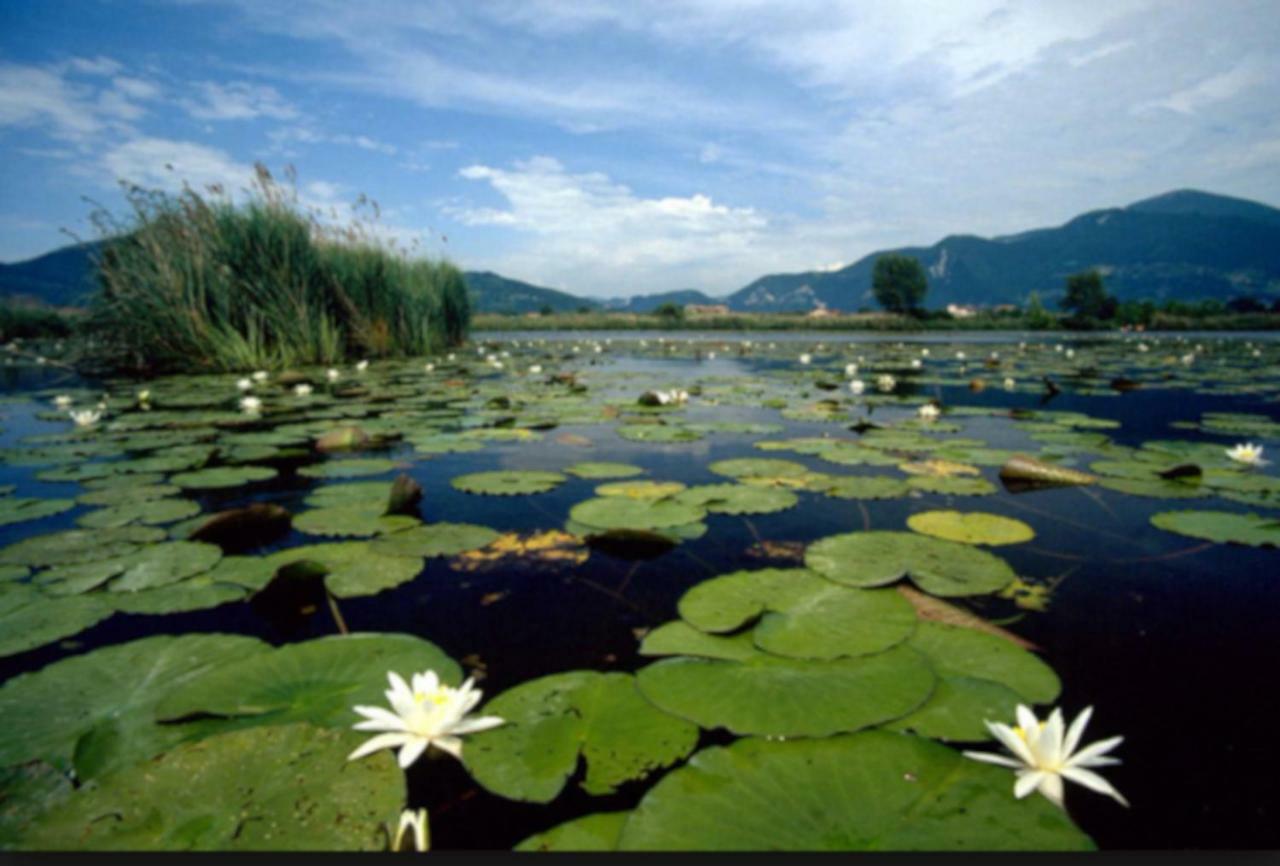 Iseo Lake Home Nature & Relax Exterior foto